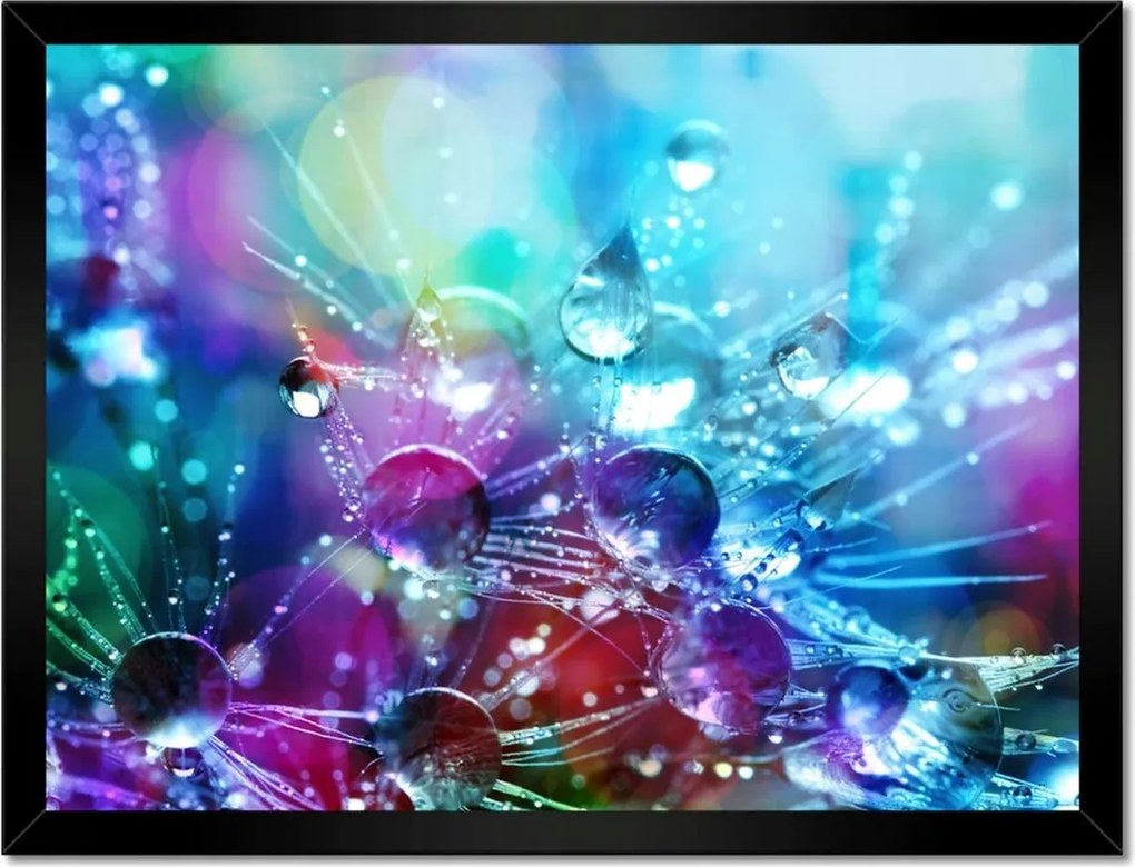 Poszterek keretben 40x30 Pitypang pitypang