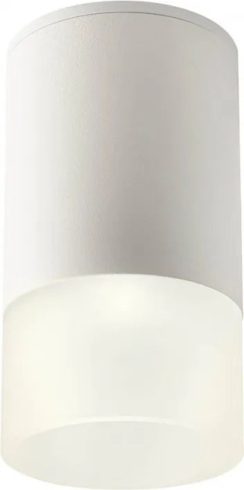 REDO 90353 XILO Modern Kültéri Mennyezeti Lámpa LED IP54