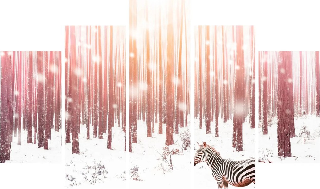 Kép - Zebra egy havas erdőben (150x105 cm)
