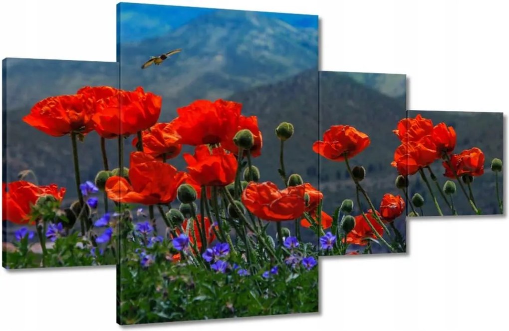 Vászonkép 130x80 Piros pipacs Virágok