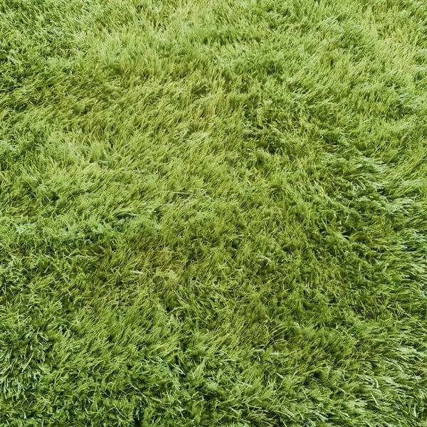 Viktorina Zöld Shaggy Futószőnyeg 80 x 300 cm