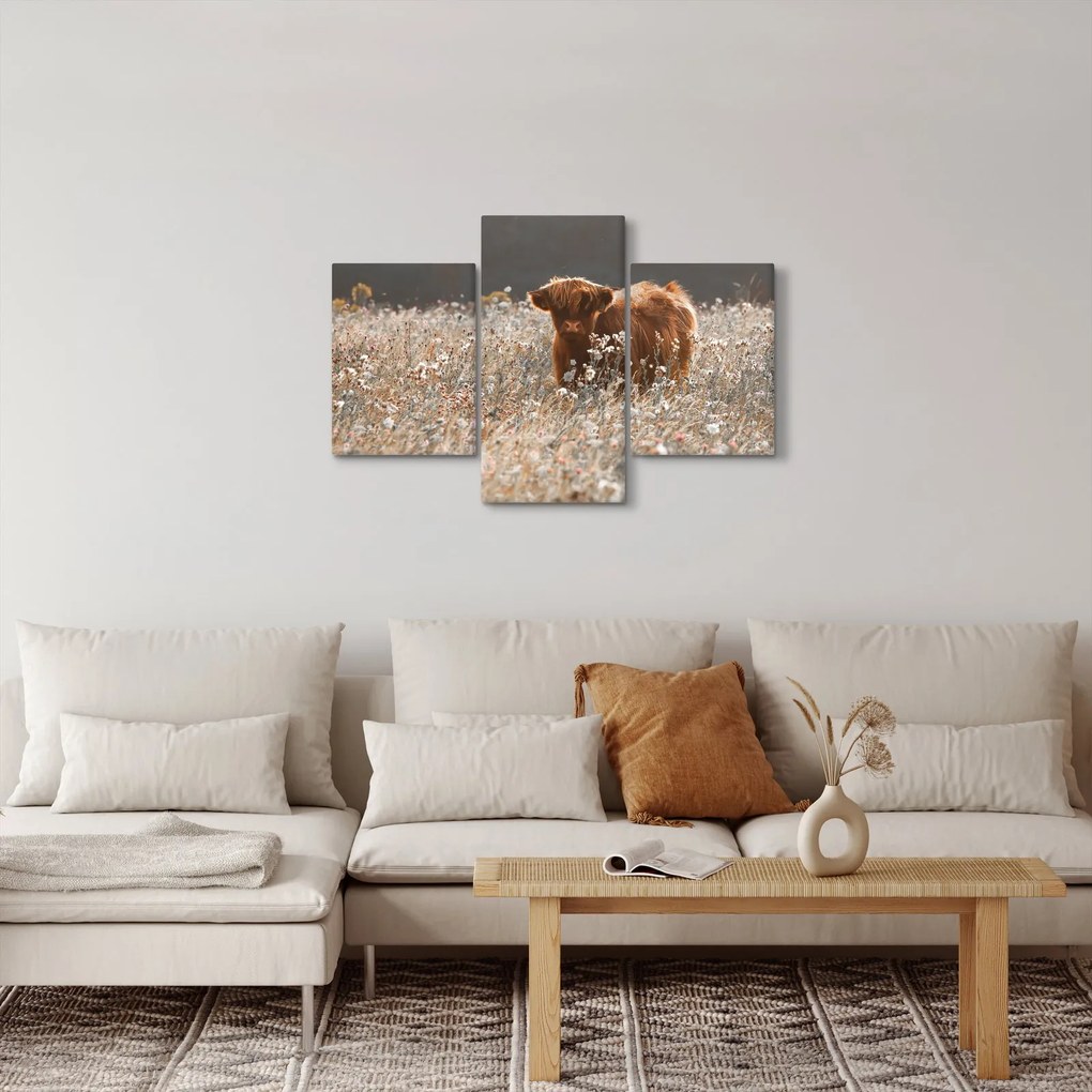 Kép - Skót tehén a virágban (90x60 cm)