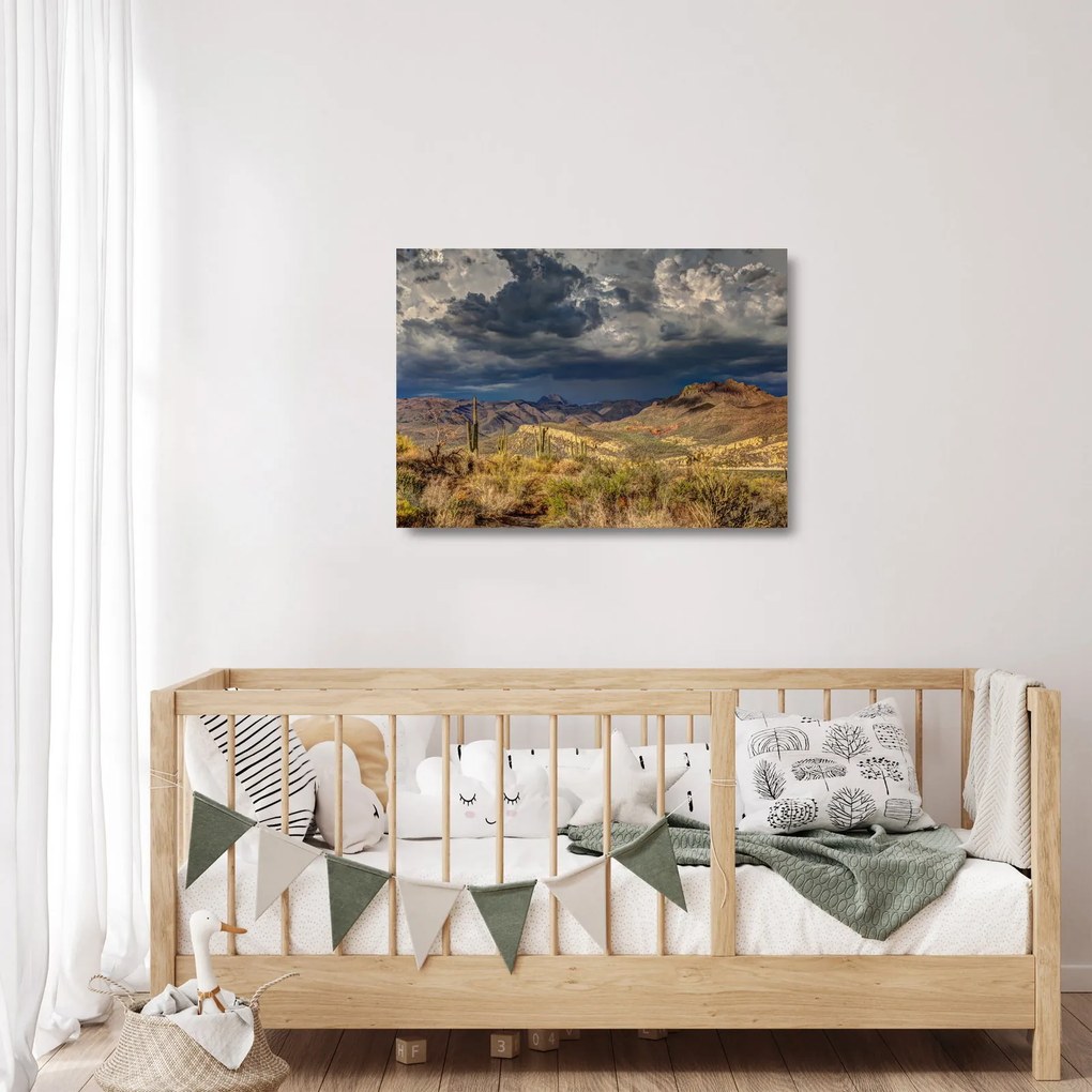 Kép - kaktuszok a természetben (üvegen) (70x50 cm)