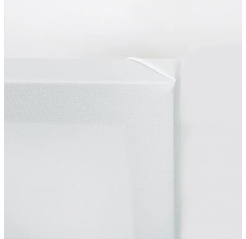 Gario Kép Isteni irgalmasság "Jézusom, bízom benned" Méret: 70 x 100 cm, Kivitelezés: Panelkép