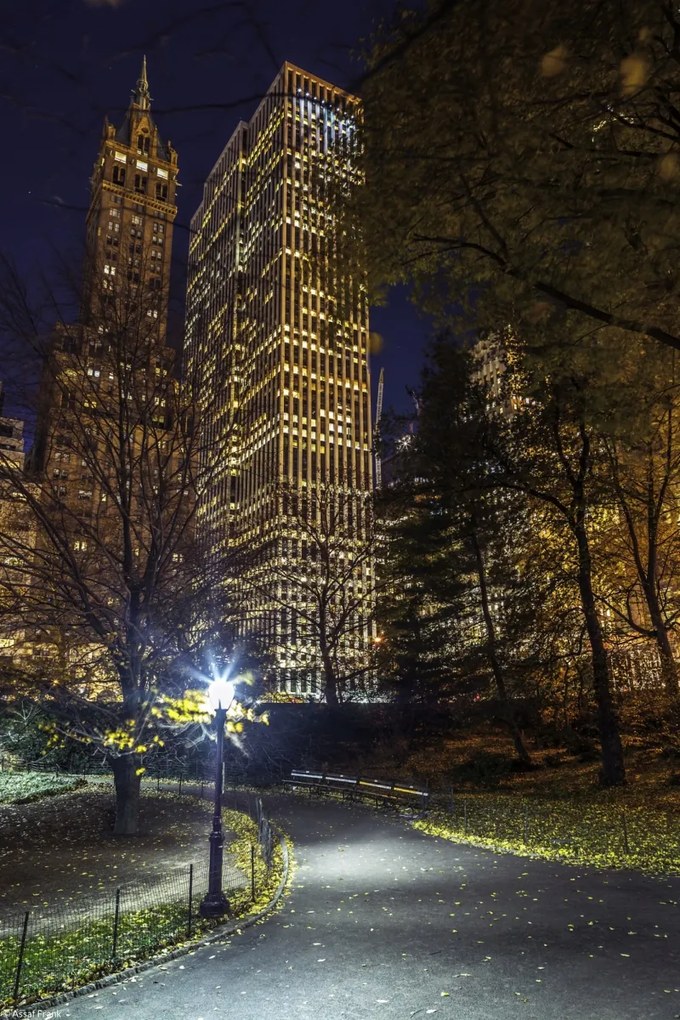 Poszter 20x30cm Esti kilátás a New York-i Central Parkra 6, Assaf Frank