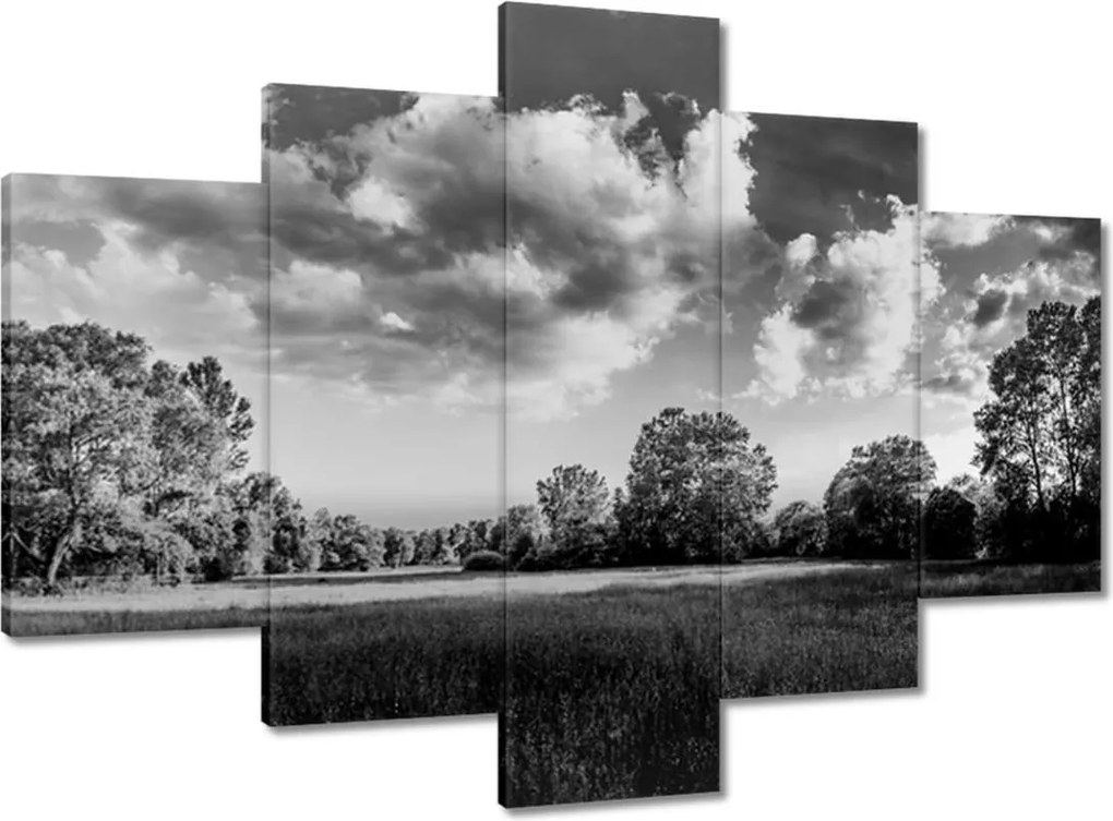 Festmények 150x105 Vidéki réti táj