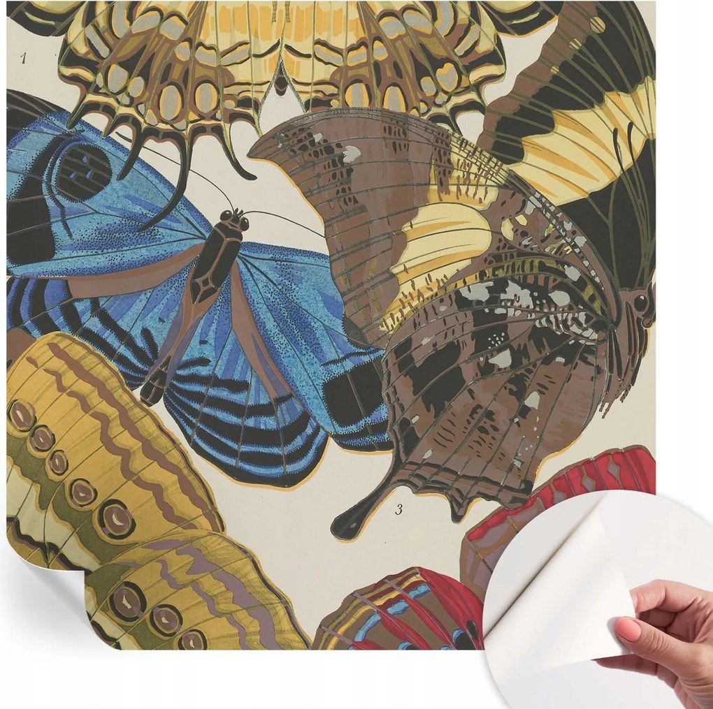 Fotótapéta Fali tapéta Hálószoba és Nappali Pillangók inspiráció 250x250