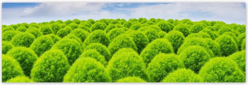 Poszterek 200x66 Zöld tekintet Völgy