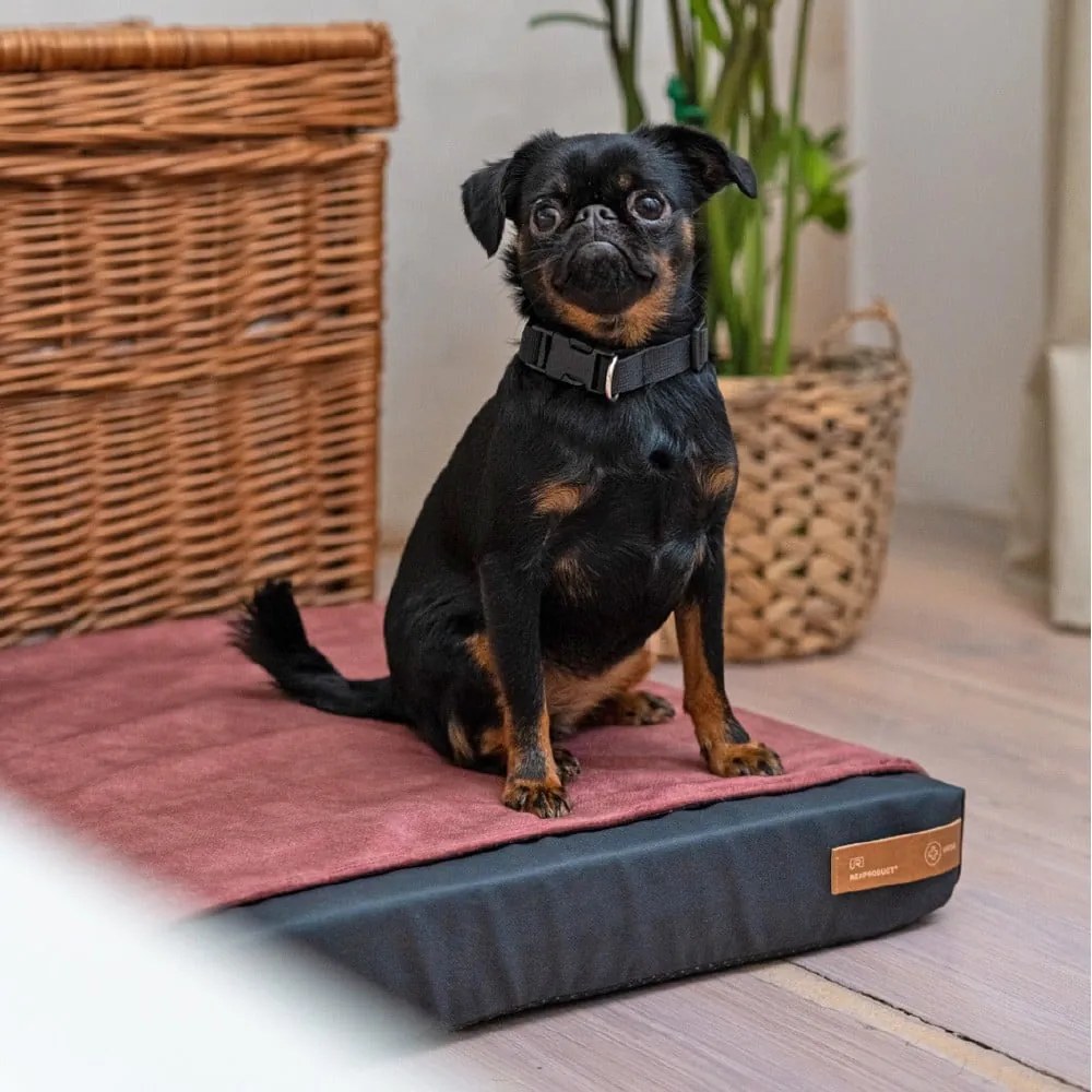 Fekete ortopédiai matrac kutyáknak 110x90 cm Ori XXL – Rexproduct
