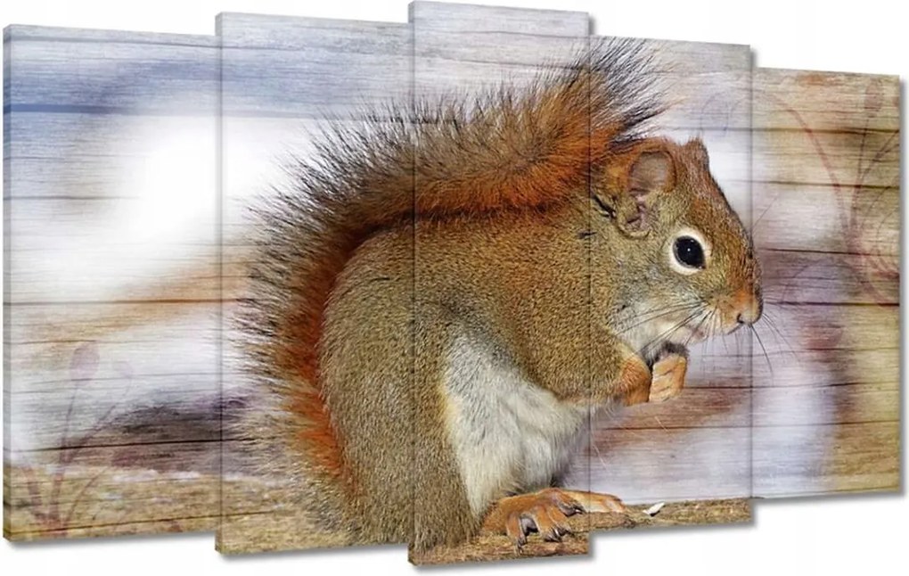 Festmények 100x60 Mókus