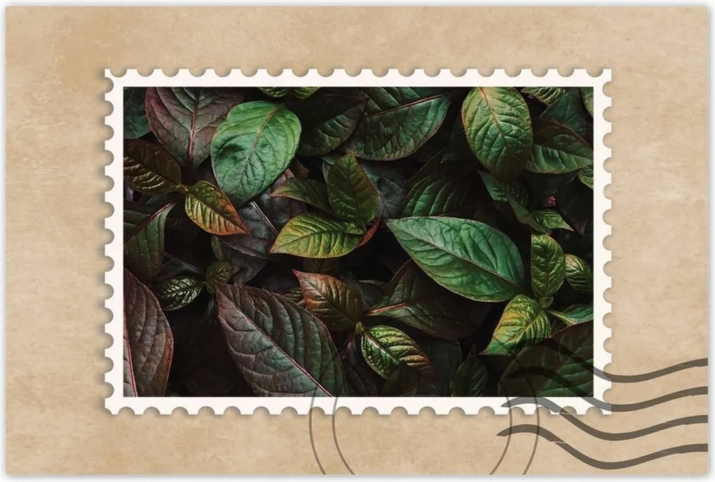 Poszterek 60x40 Trópusi levelek Levelek