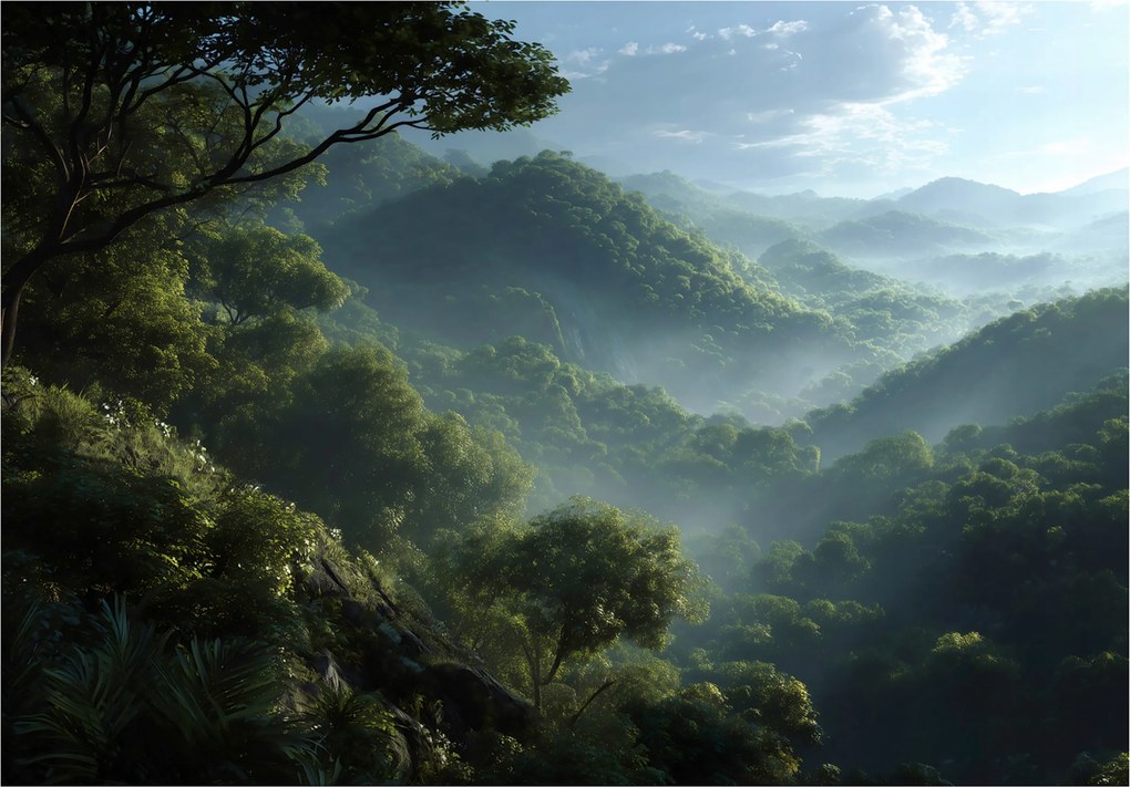 Fotótapéta Dzsungel Köd Erdő Természet Hálószoba Nappali Tapéta Flizelina 350x250