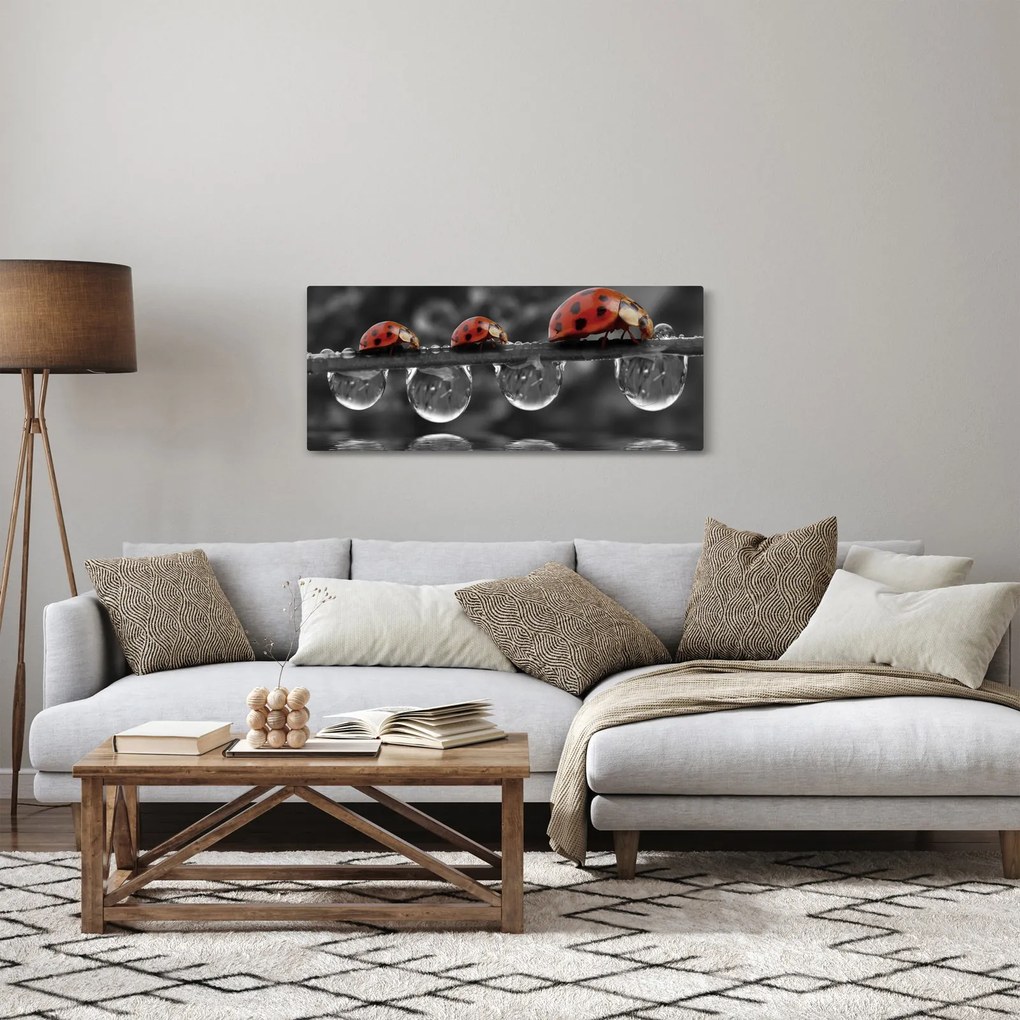 Kép - Napraforgó, fekete-fehér (120x50 cm)