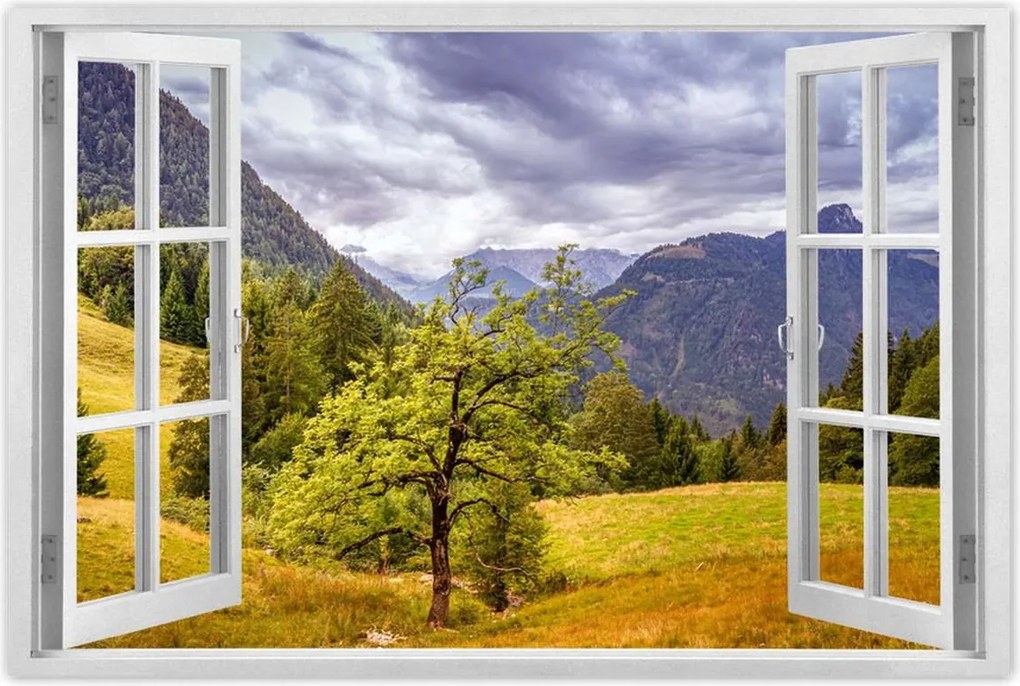 Poszterek 90x60 Fa az égig