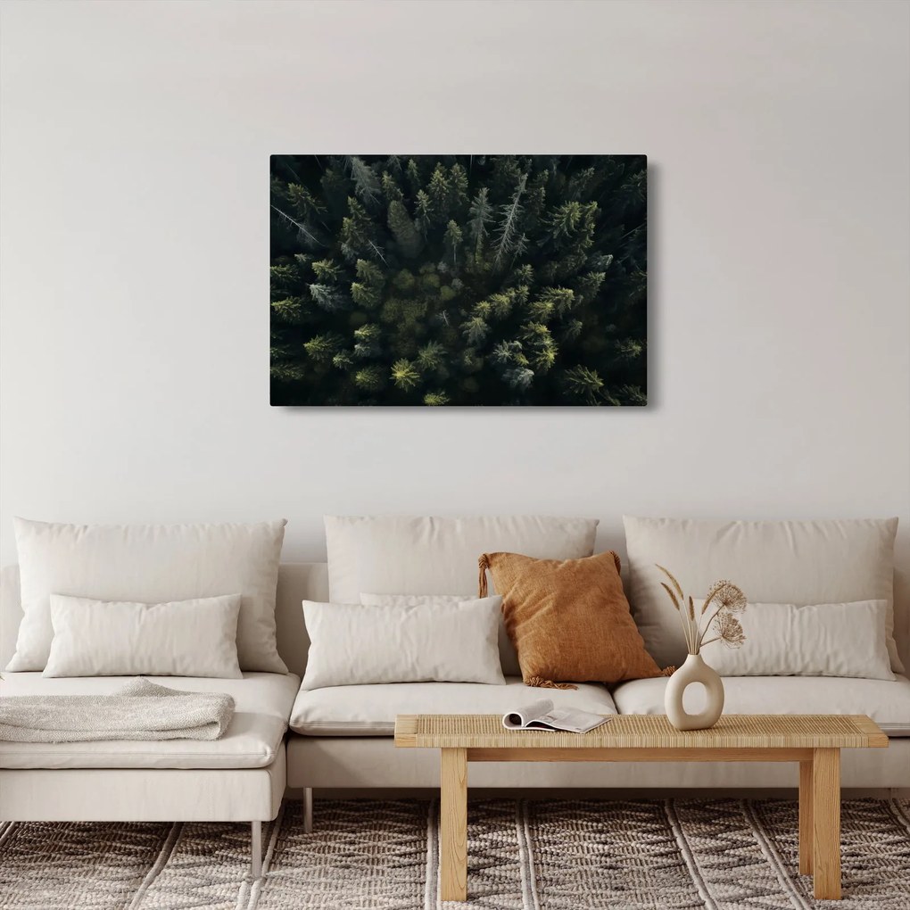 Kép - Forest (90x60 cm)