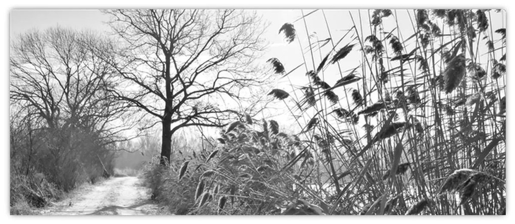 Kép - Mezők télen (120x50 cm)