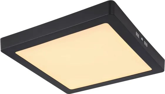 Globo 12374-24 - LED Mennyezeti lámpa DINO LED/22W/230V