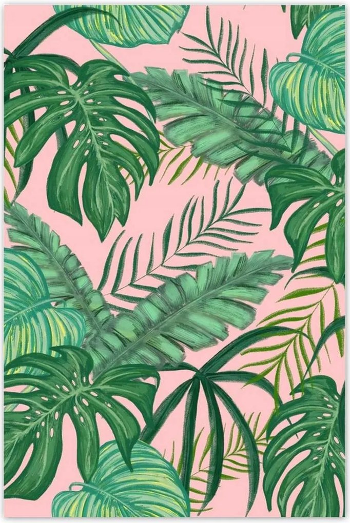 Poszterek 80x120 Házi dzsungel