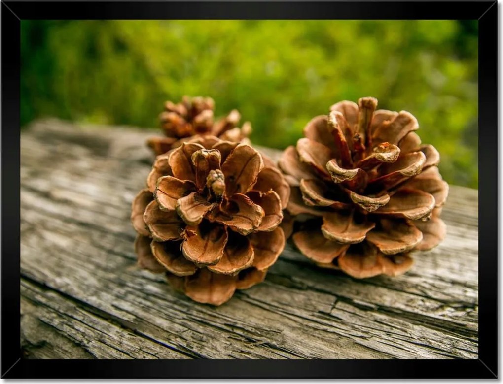Poszterek keretben 40x30 Tobozok a kertben