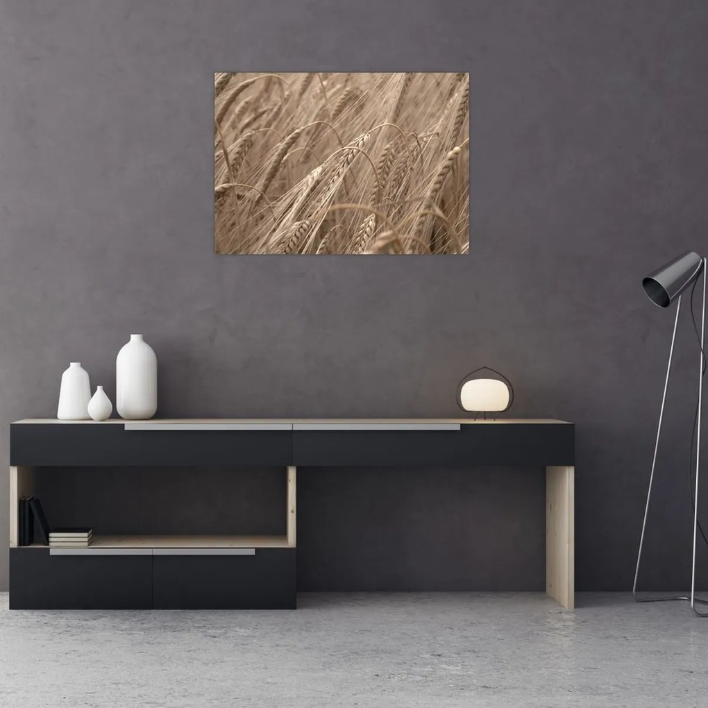 Üveg kép - Az arany mező (70x50 cm)