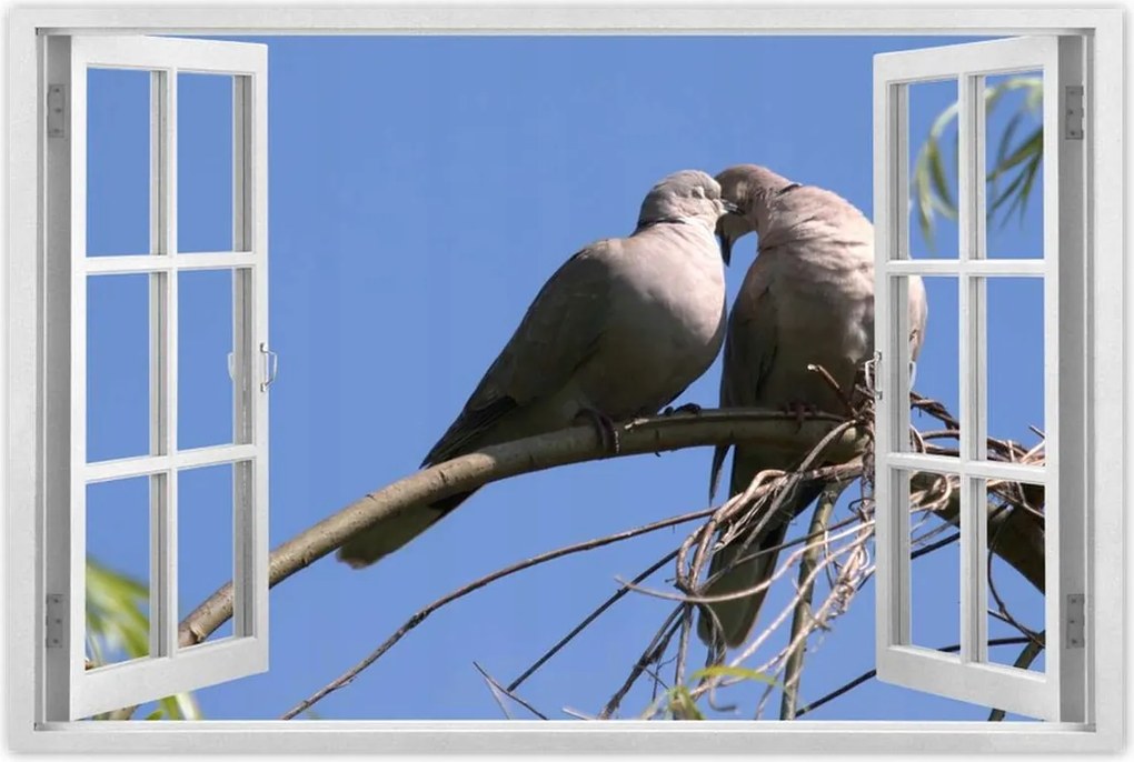 Poszterek 60x40 Szerelem Érzés Párkapcsolat