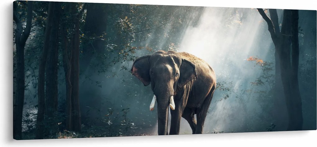 Elefánt a dzsungelben képe (120x50 cm)