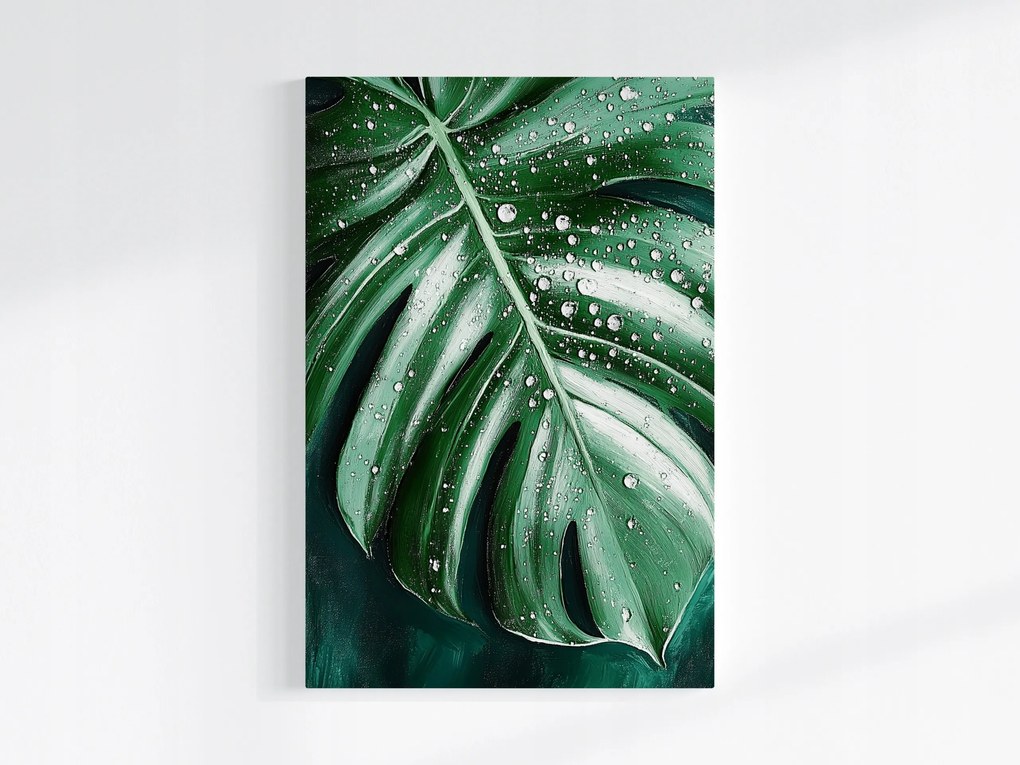 Poszter Természet Monster Levél Filodendron Víz Harmat 40x60