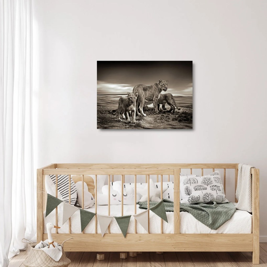 Fekete fehér tigris képe (üvegen) (70x50 cm)