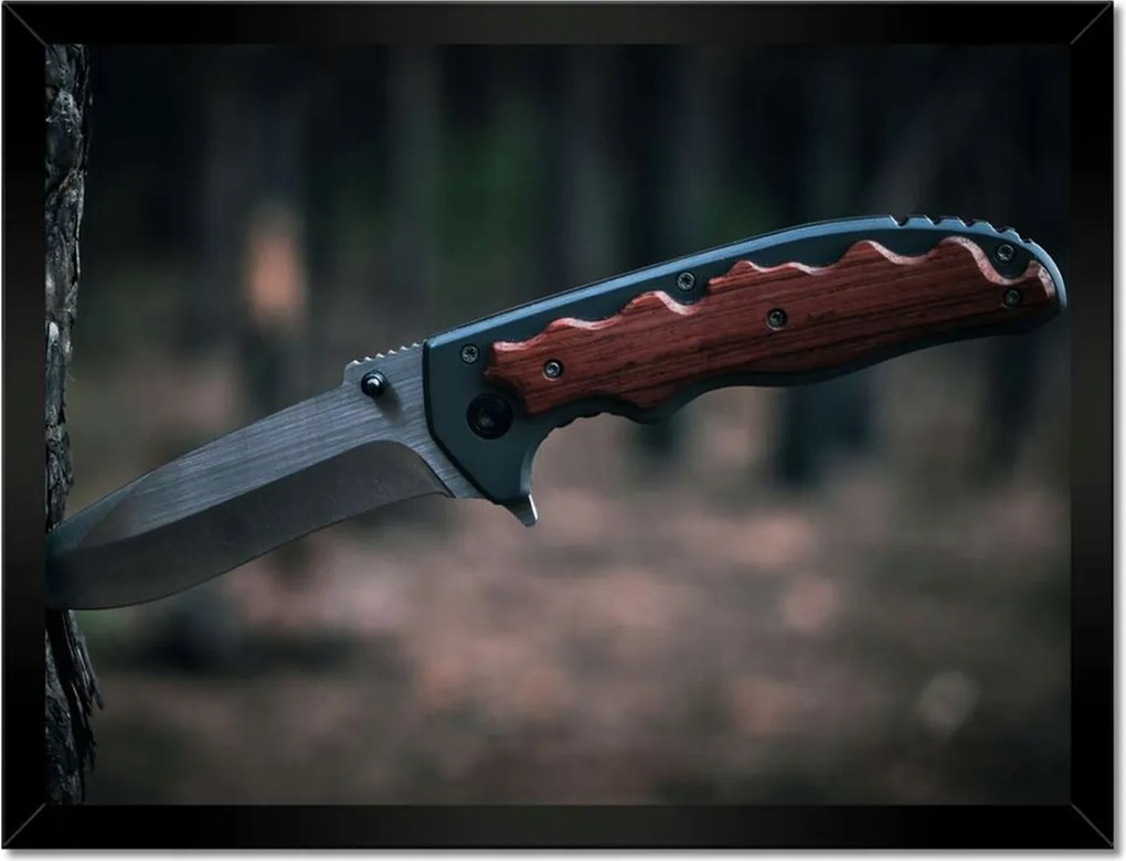 Poszterek keretben 40x30 Fa kéregbe szúrt kés