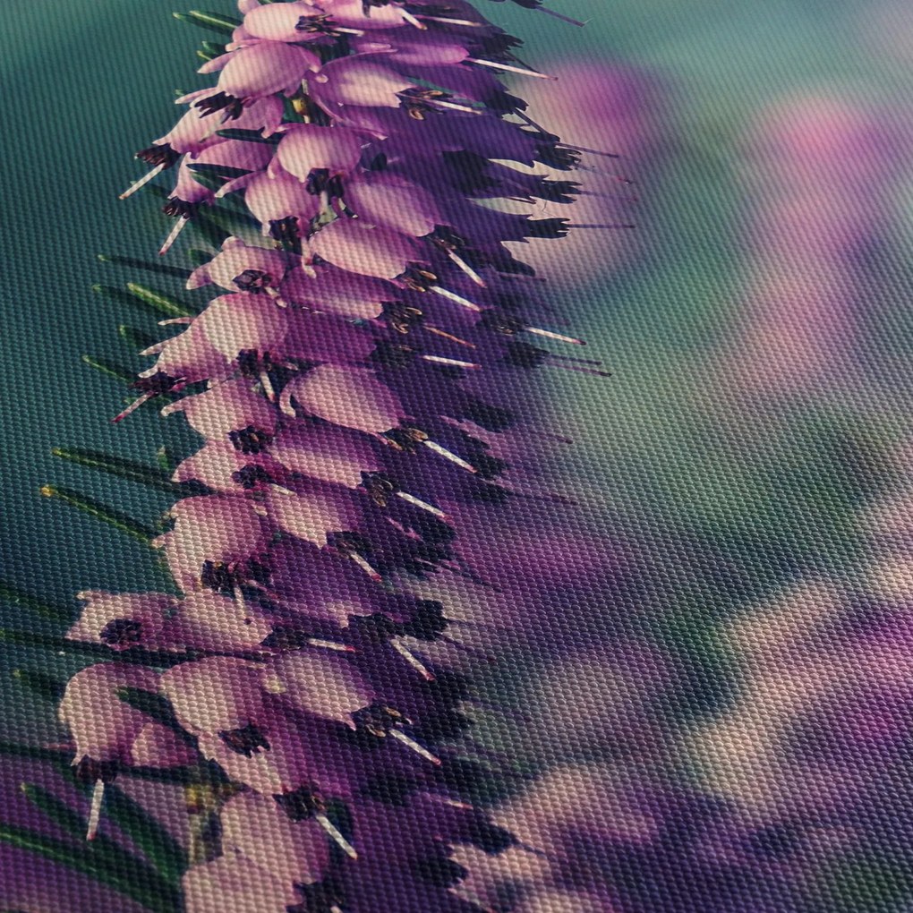 Levandula képe (90x60 cm)