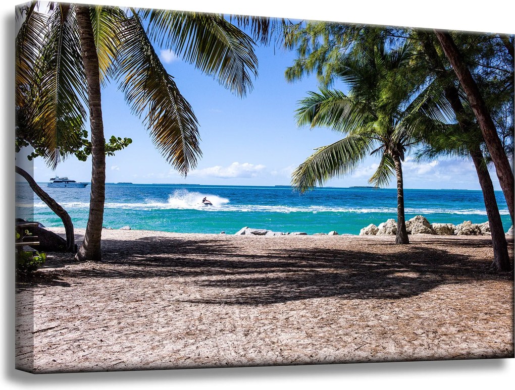Vászonkép Természet Óceán pálmafák tengerpart 60x40 cm