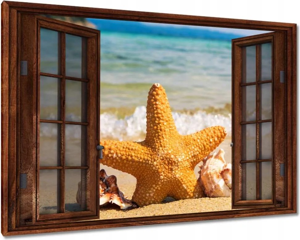 Képek 120x80 Tengeri csillag és kagylók