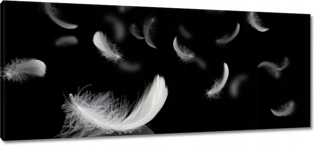 Vászonkép 100x40 Hulló fehér tollak