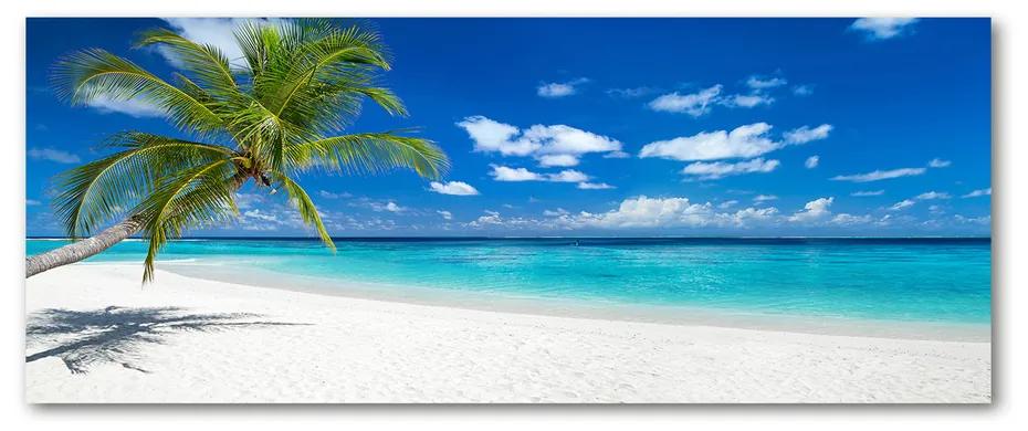 Akril üveg kép Trópusi tengerpart pl-oa-125x50-f-151547263