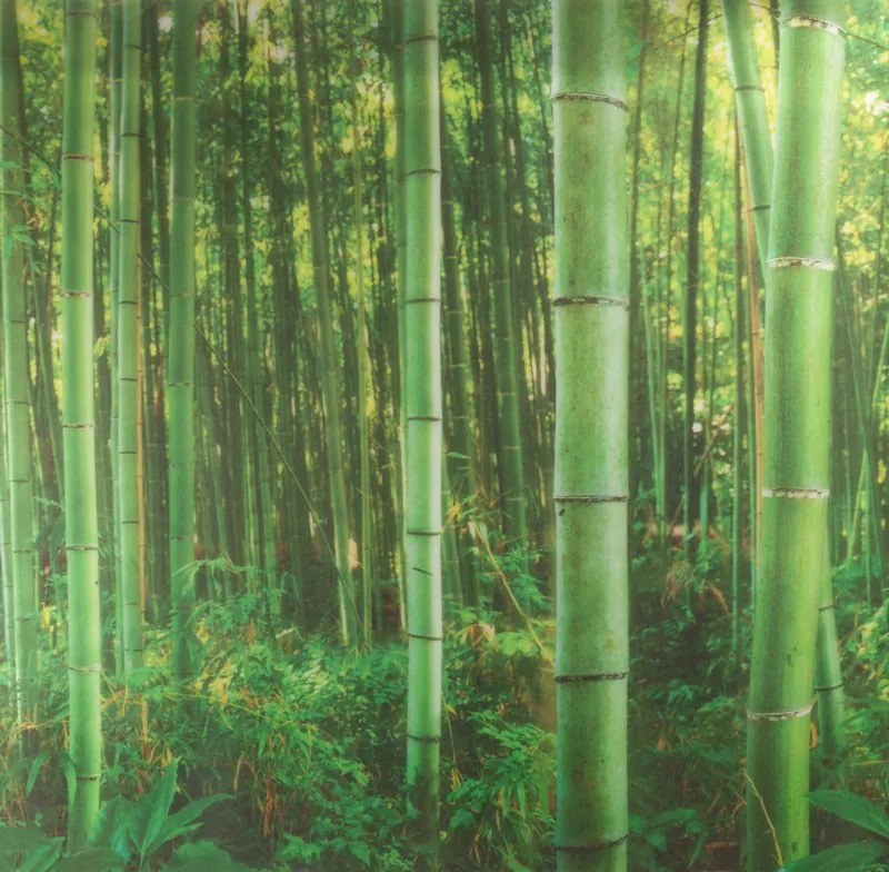 Prémium PANORAMA BAMBOO sztatikus ablakfólia 67,5cm x 1,5m