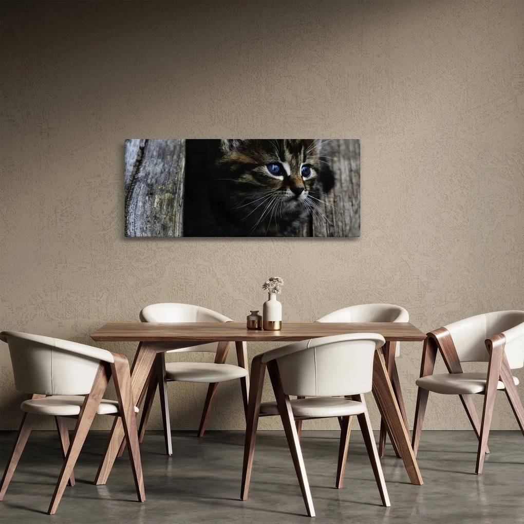 Cica képe (120x50 cm)
