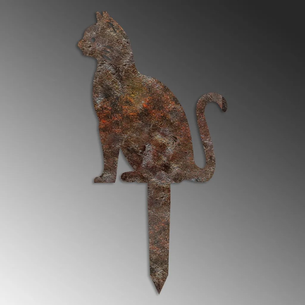 Cat -A 02