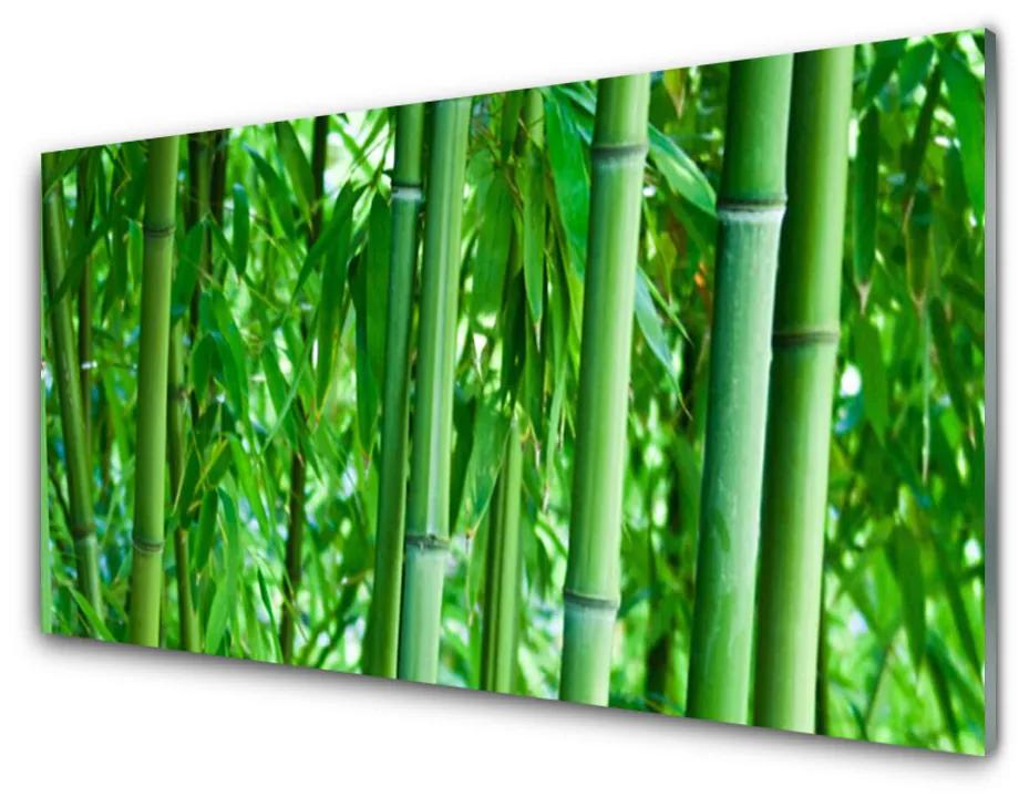 Üvegfotó Bamboo Stem Plant 140x70 cm