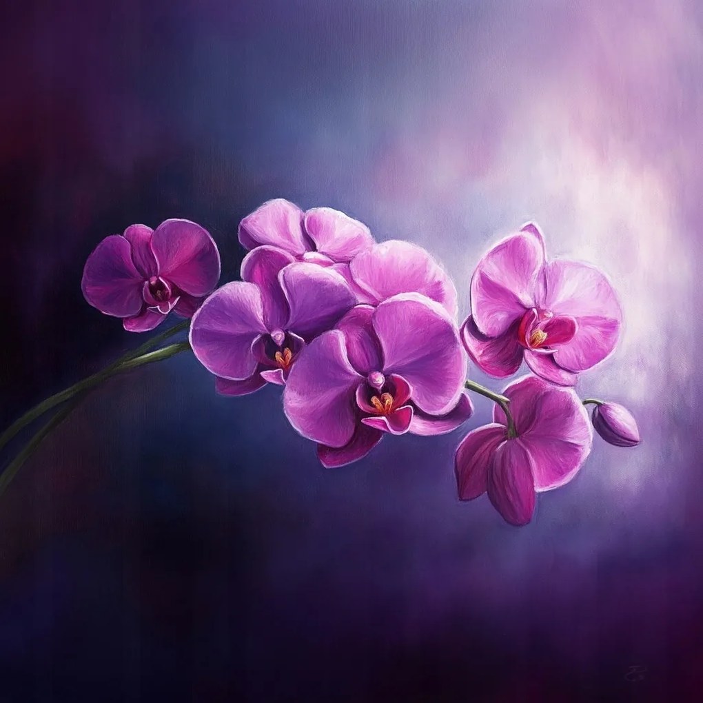 Vászonkép Canvas Természet Virág Orchidea 40x40