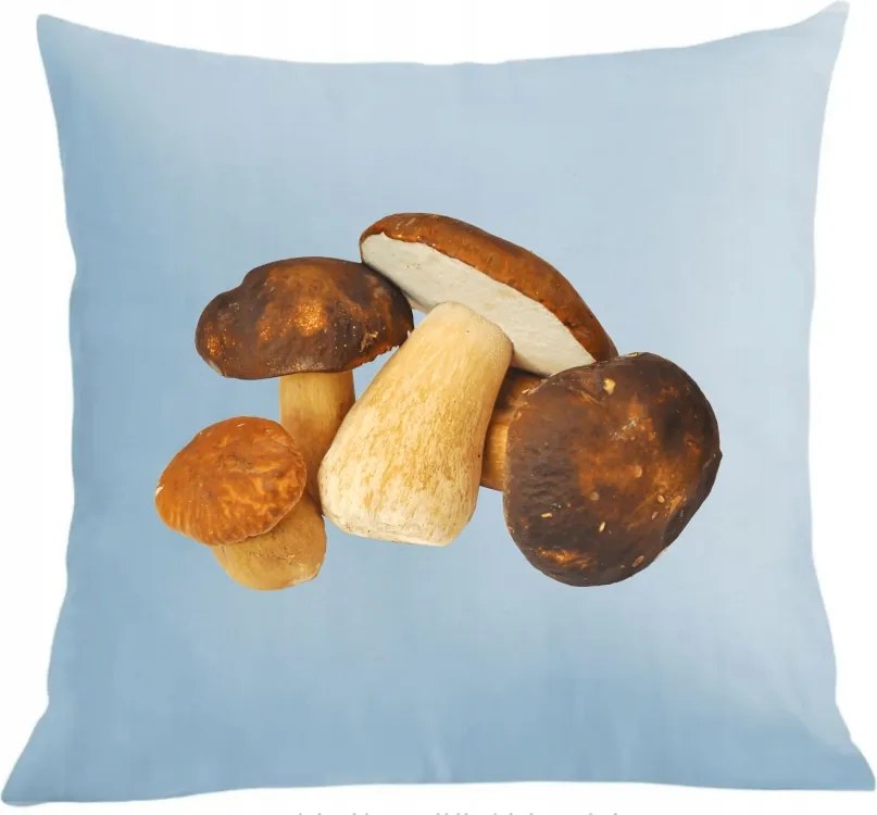 Párna+párnahuzat Ajándék gombászoknak