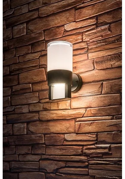 Rabalux 77130 - LED Kültéri fali lámpa LEITHA LED/12W/230V IP44