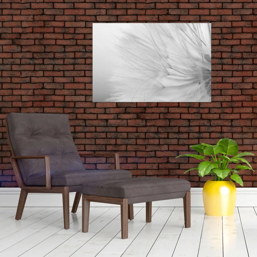 Kép - Pitypang (90x60 cm)