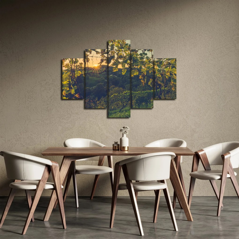 Kép - szőlőültetvény (150x105 cm)