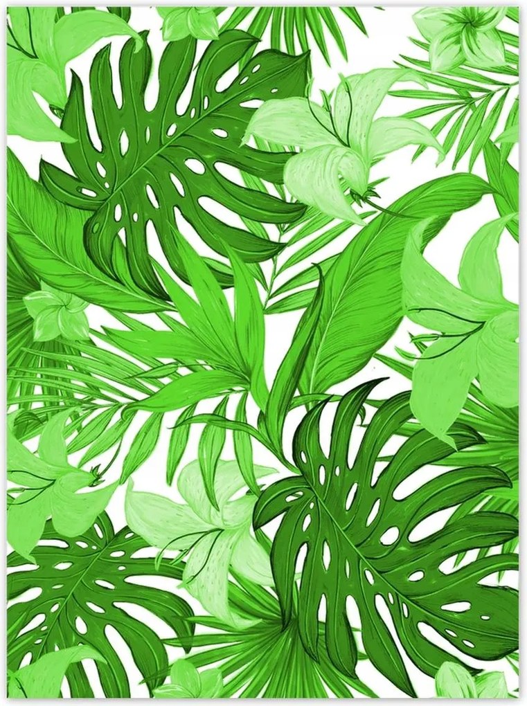Poszterek 100x135 Leaves Monstera New look