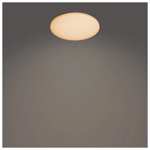 Philips - LED Dimmelhető mennyezeti lámpa IZSO LED/40W/230V 2700-6500K + távirányító