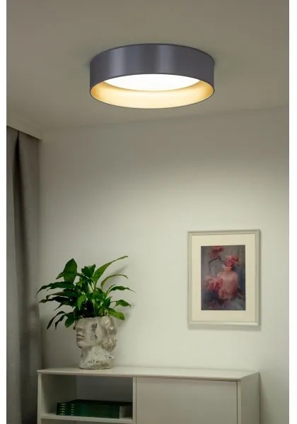 Duolla - LED Mennyezeti lámpa ROLLER LED/24W/230V átm. 45 cm ezüst/arany
