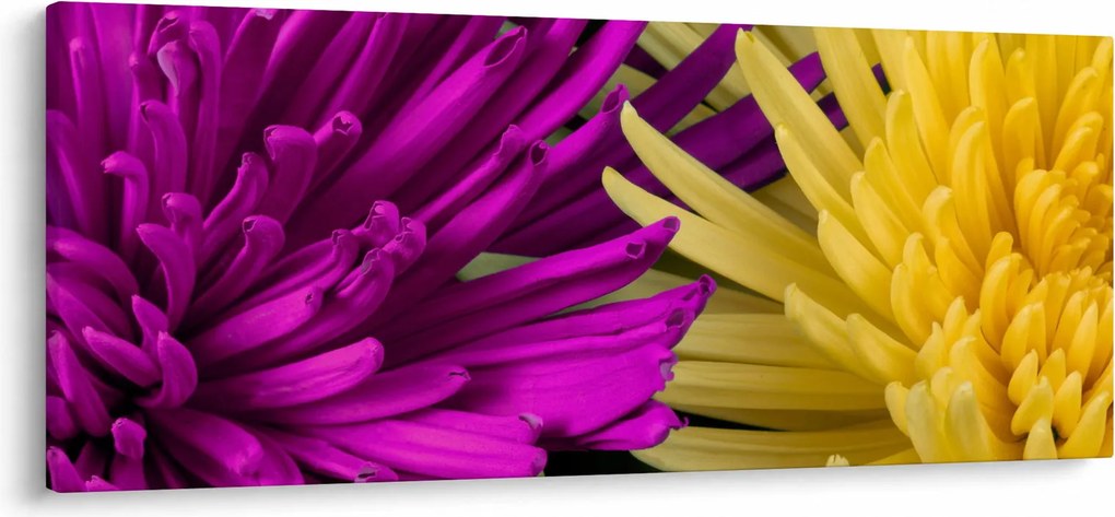 Kép - virág részlet (120x50 cm)