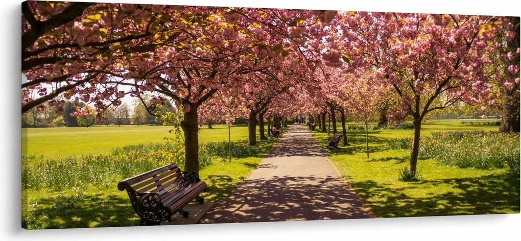 Kép - cseresznye ültetvény (120x50 cm)