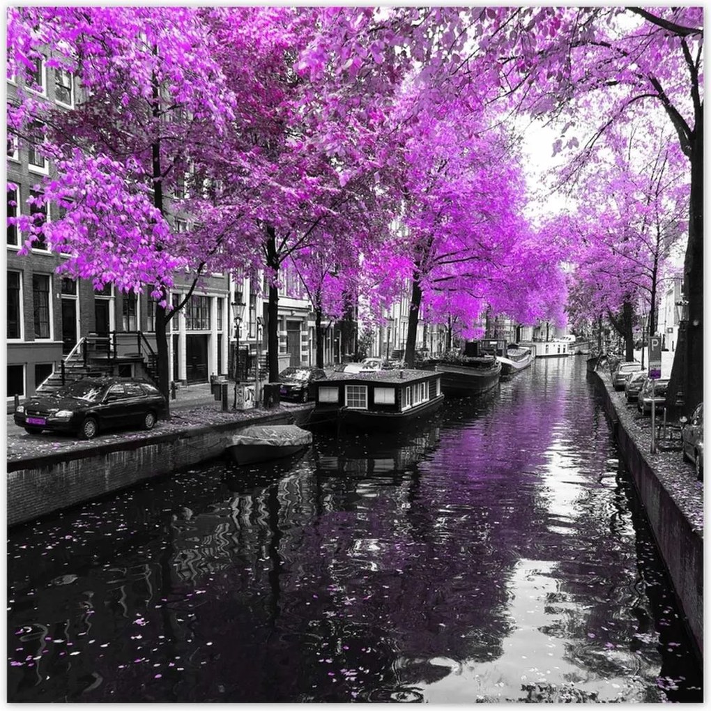 Poszterek 100x100 Holland tájkép Folyó