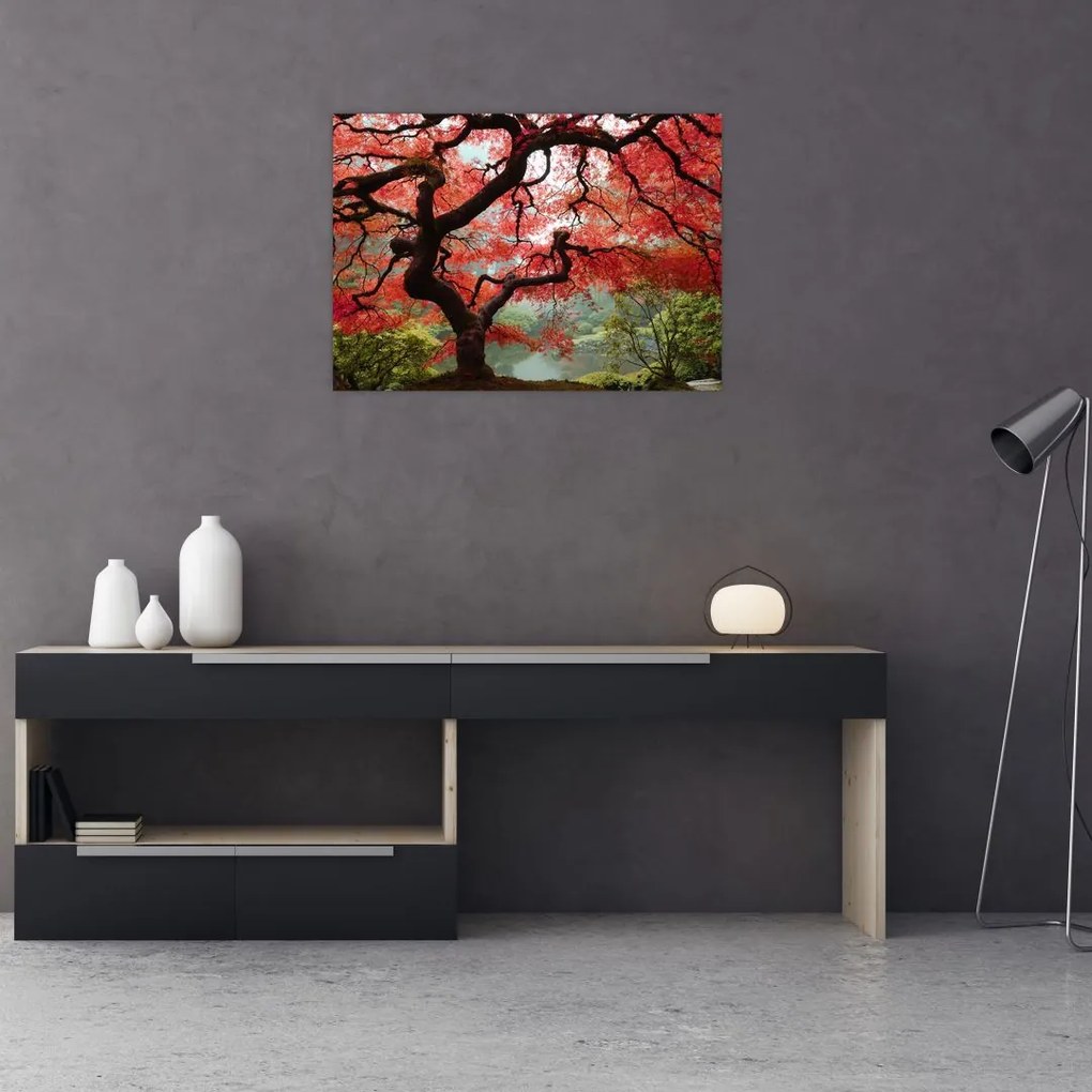 Red Japanese Maple, Portland, Oregon képe (üvegen) (70x50 cm)
